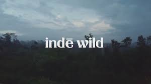 Inde Wild